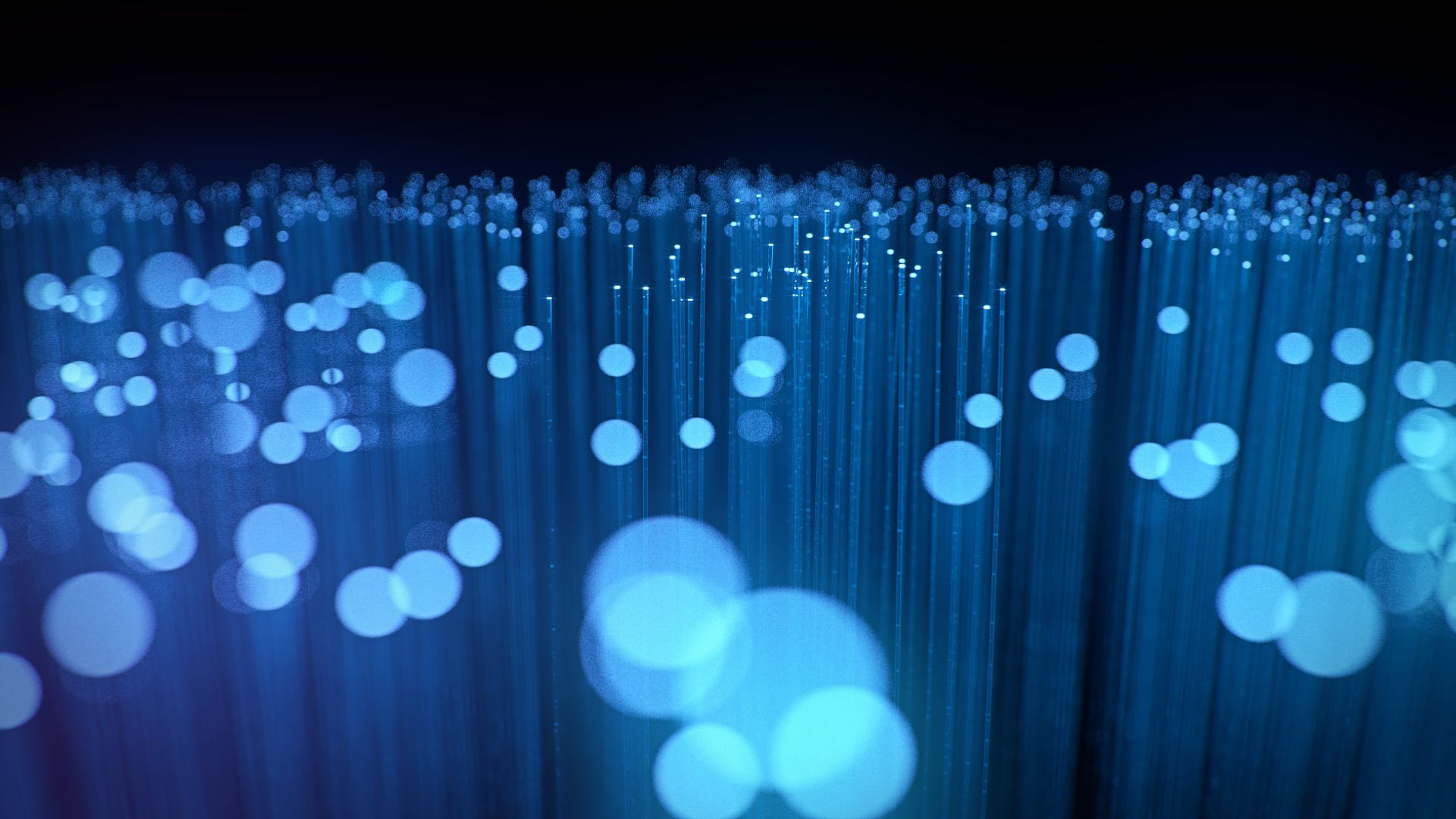 Welcome to our network solutions